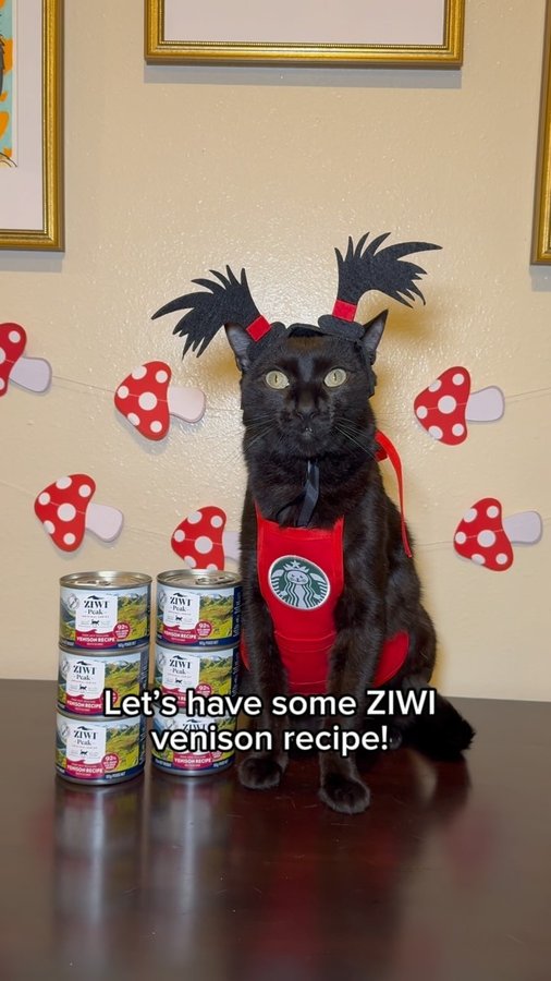 Instagram post by @mersha.theminipanther for ZIWI Pet Food. Caption reads: Let’s have some ZIWI venison recipe! 💞....