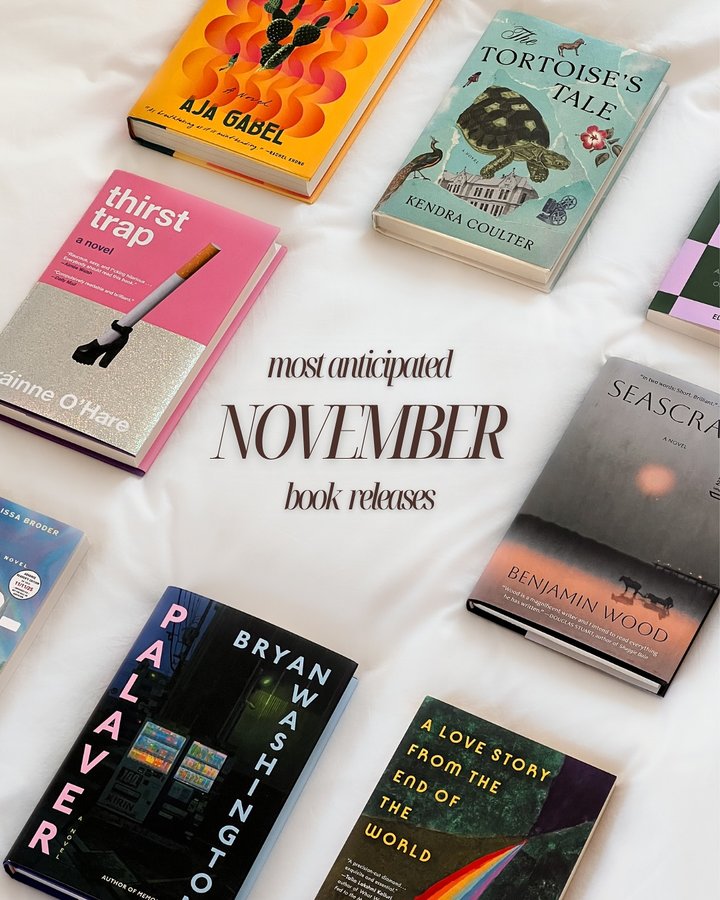 Instagram post by @emnreads for Riverhead Books. Caption reads: [ft gifted/pr] happy first pub day of november and....