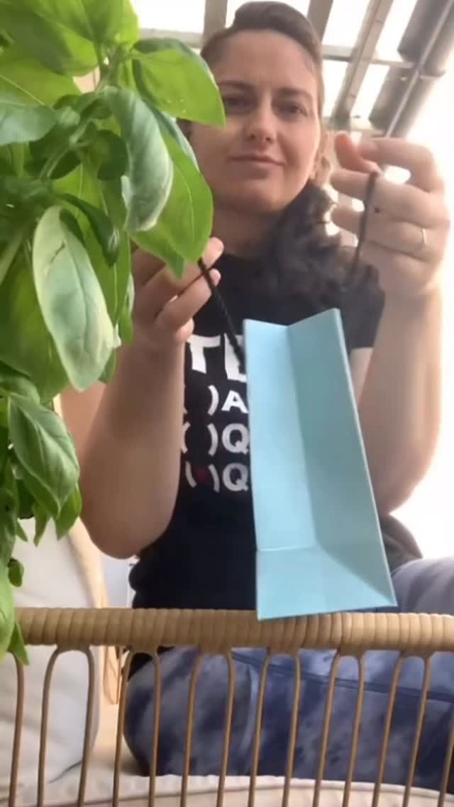 Instagram post by @siblinglove20 for MSBLUE. Caption reads: Embellish your story with timeless elegance. ✨....