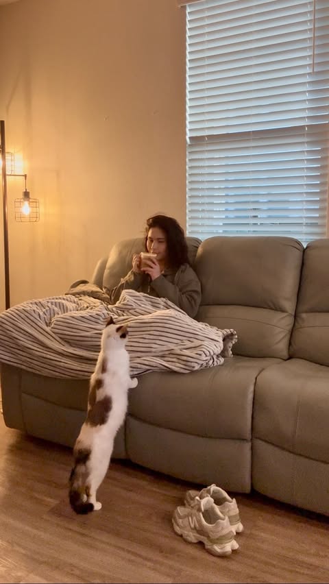 Instagram post by @abbs.camarena for ZONLIHOME. Caption reads: #ad I absolutely cannot live without this....