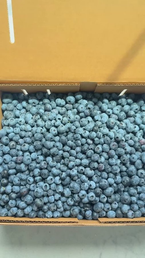 Instagram post by @feelgoodfoodie for Fresh Thyme. Caption reads: Did you know that Michigan is the number 1 place....