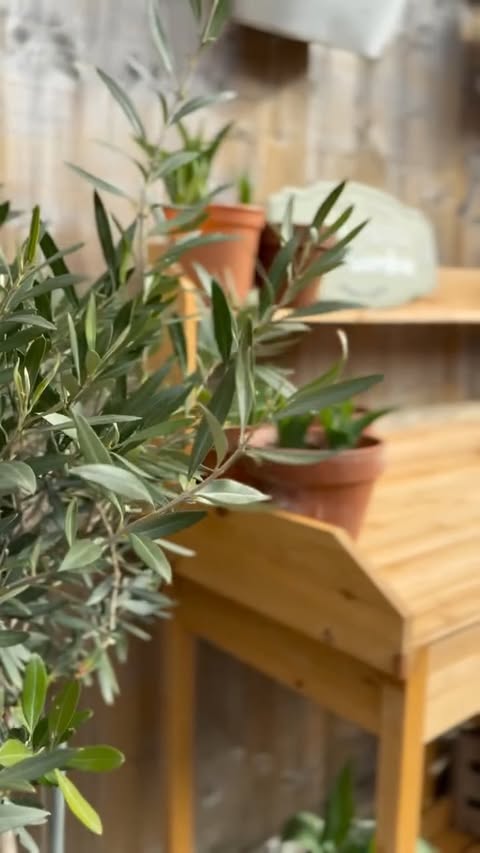 Instagram post by @livinginneutral_ for Yaheetech. Caption reads: [...] ahead 🌱 This potting bench from....