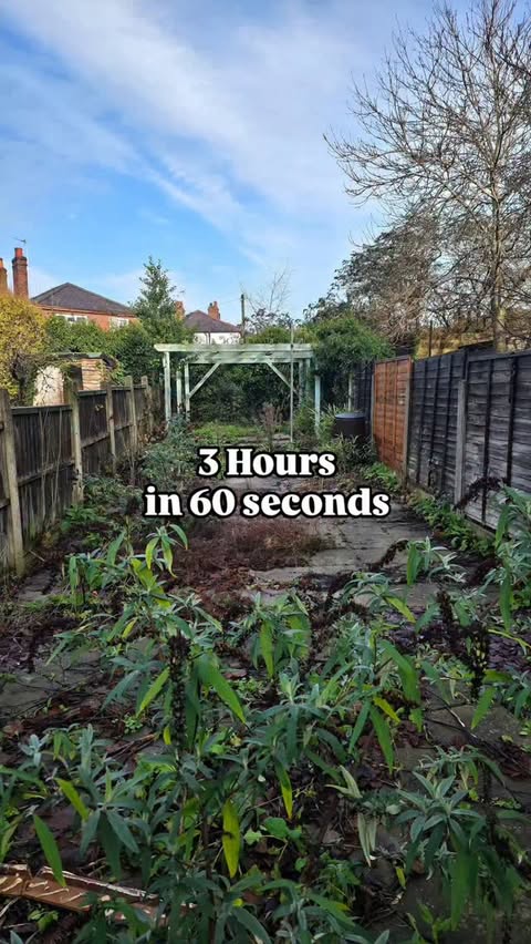 Instagram post by @the.gardenbutler for Screwfix. Caption reads: [...] seconds🧑‍🌾

#AD ⚠️Flash....