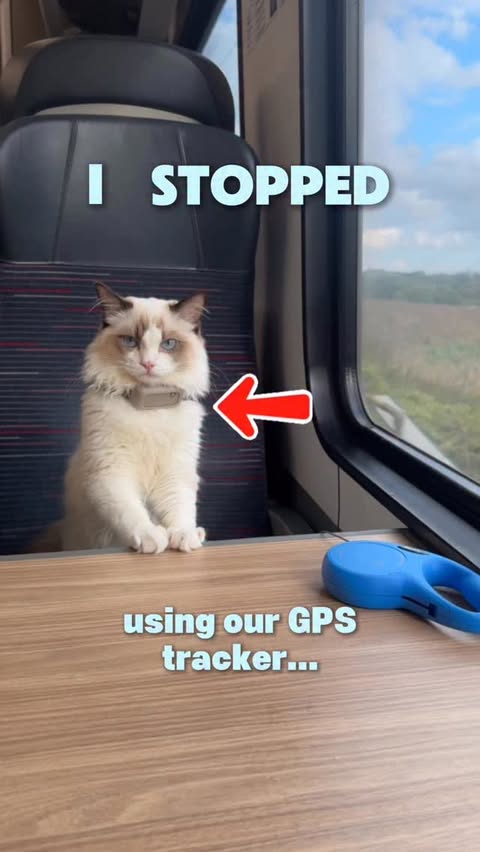 Instagram post by @ragdollatticus for Tractive. Caption reads: [...] When I tell you this upgrade from @tractive....