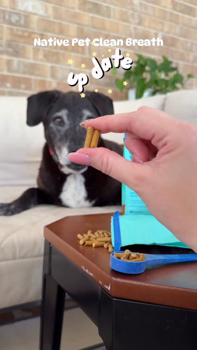 Instagram post by @hoogie_bear_ for Native Pet. Caption reads: Is the @nativepet GutWell Clean Breath Holly....