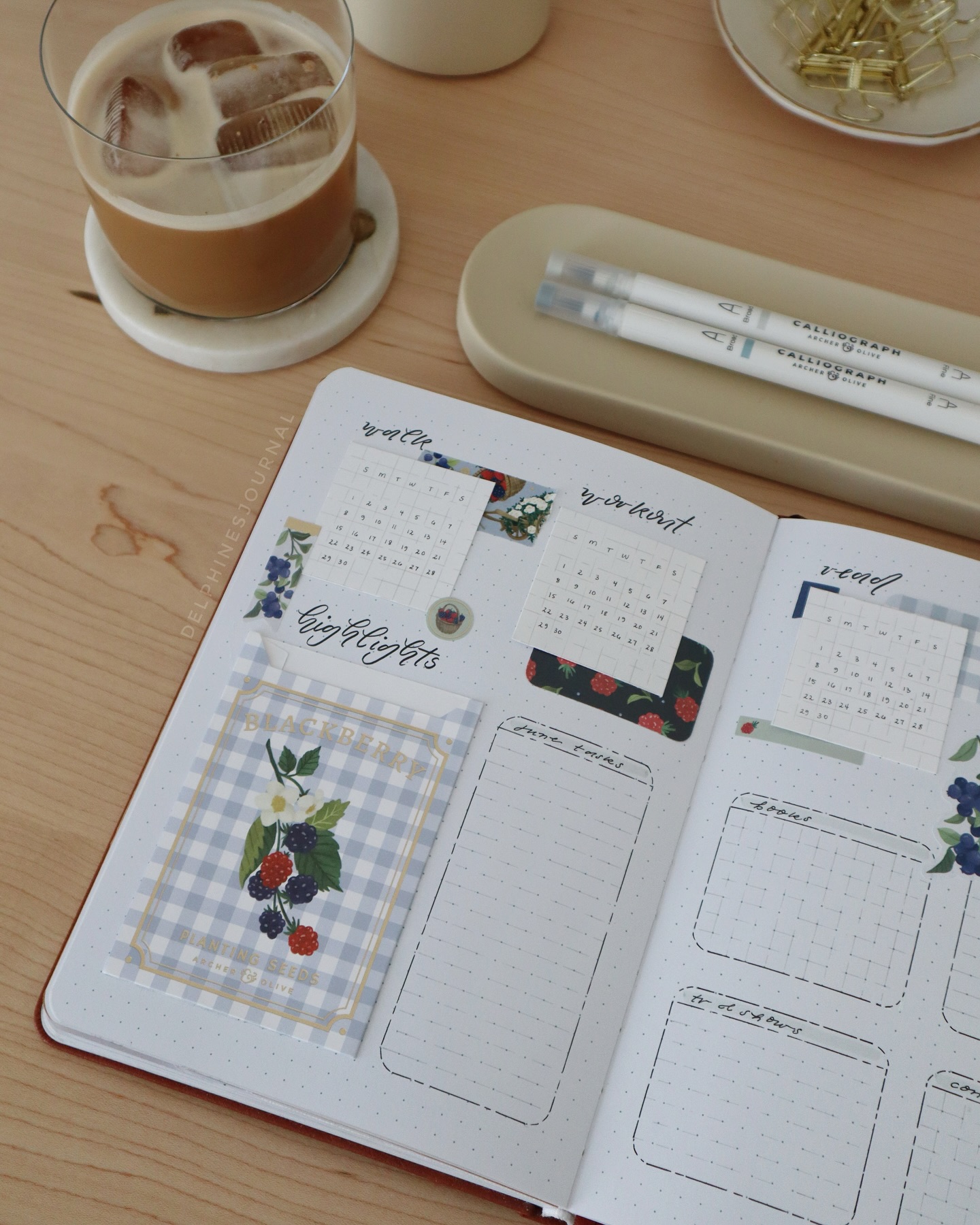 Instagram post by @delphinesjournal for Opposite Wall. Caption reads: Photos of my June overview as the month comes to a....