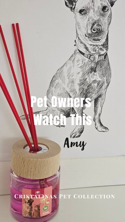 Instagram post by @simplysweethome__ for The Influence Room. Caption reads: AD | 🐾🤍 As a dog owner, keeping our home feeling....