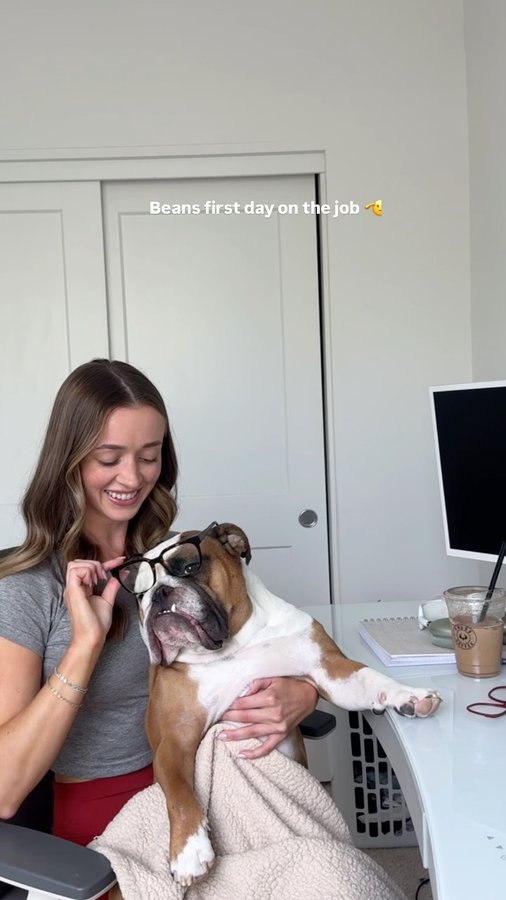 Instagram post by @its_motek for LIKEtoKNOW.it. Caption reads: You’re looking at the newest co-owner of @barkbox....