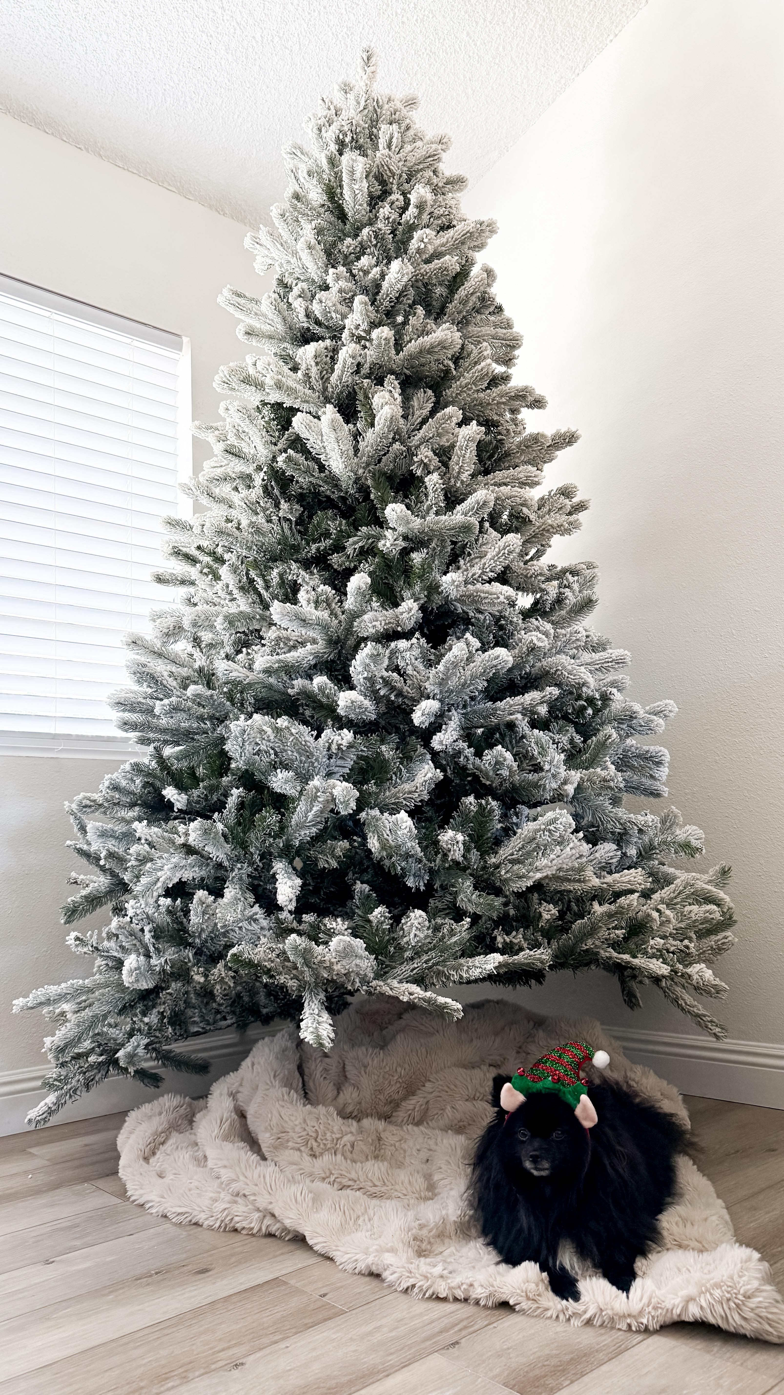 Instagram post by @our.chaotic.little.life for King of Christmas. Caption reads: The holidays have officially entered the chat 🎄✨....