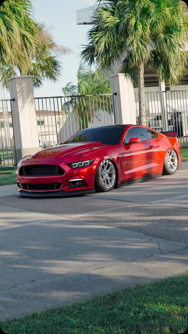 Instagram post by @ollies_s550 for Blackline Car Care. Caption reads: Man I love how these wheels changed the car so....