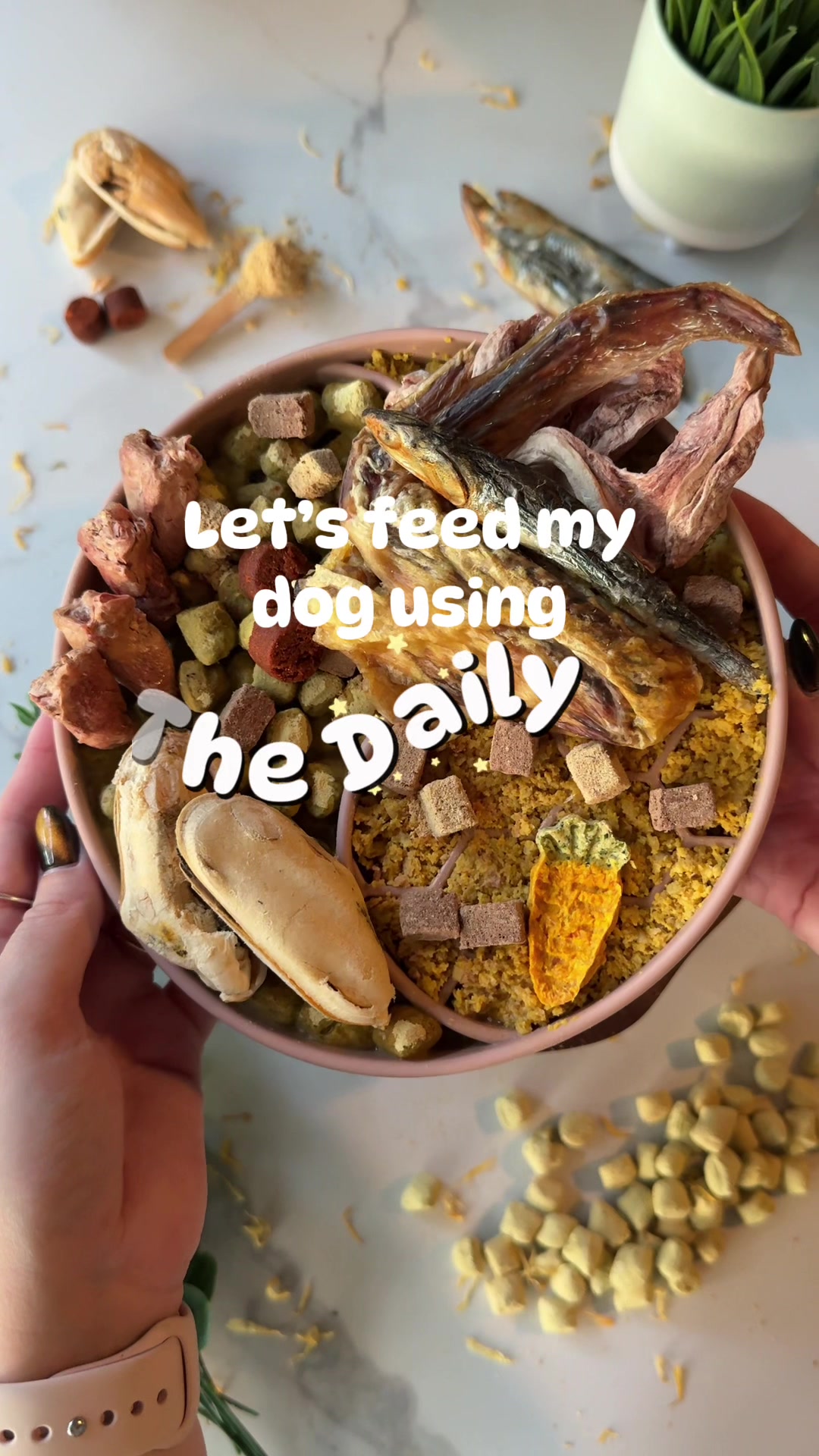 TikTok post by @hoogie_bear_ for Native Pet. Caption reads: You guys already knew this one 😋 Looking for a....