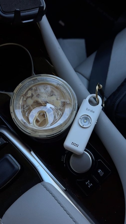 Instagram post by @brookevestrand for She's Birdie. Caption reads: My walks just got a whole lot safer thanks to....