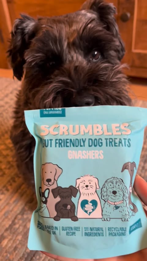 Instagram post by @its_little_eddy for Scrumbles. Caption reads: [...] crunches 😋 As you can see, I love my....