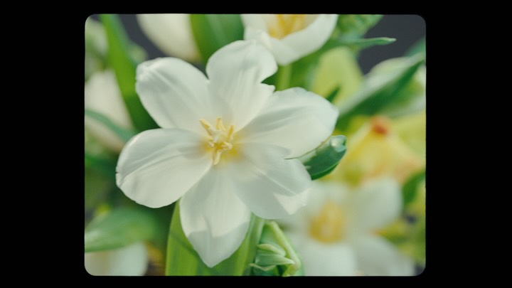 Instagram post by @bunneyofficial for Kodak. Caption reads: The Aperture Vase  @bunneyofficial & @eugandeug |....