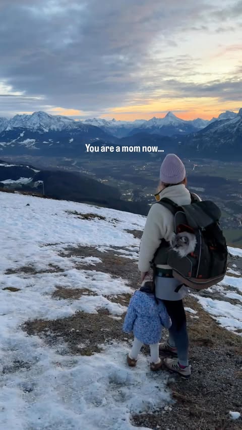 Instagram post by @loui.not.vuitton for Petsfit. Caption reads: Both babies need a good dose of mountains 🏔️....