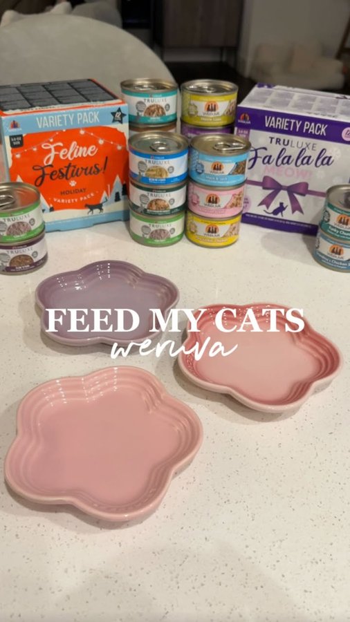 Instagram post by @simple.kitties for Weruva. Caption reads: [...] cats ft our feline faves #gifted from....