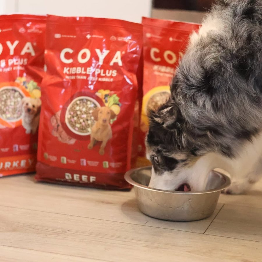 Instagram post by @mydogmilosmith for COYA Pet. Caption reads: [...] Happy, healthy pups every time! @coyapet....
