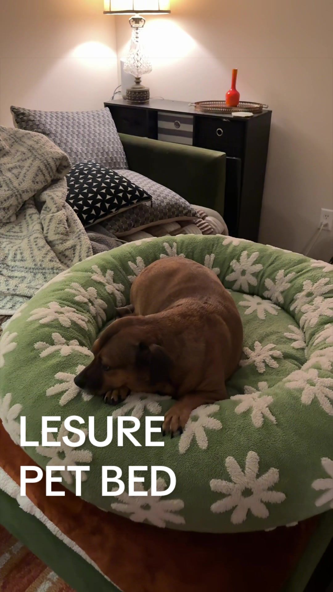 TikTok post by @katiereagan713 for Lesure Pet. Caption reads: [...] cozy, calming, orthopedic pet bed! @Lesure....