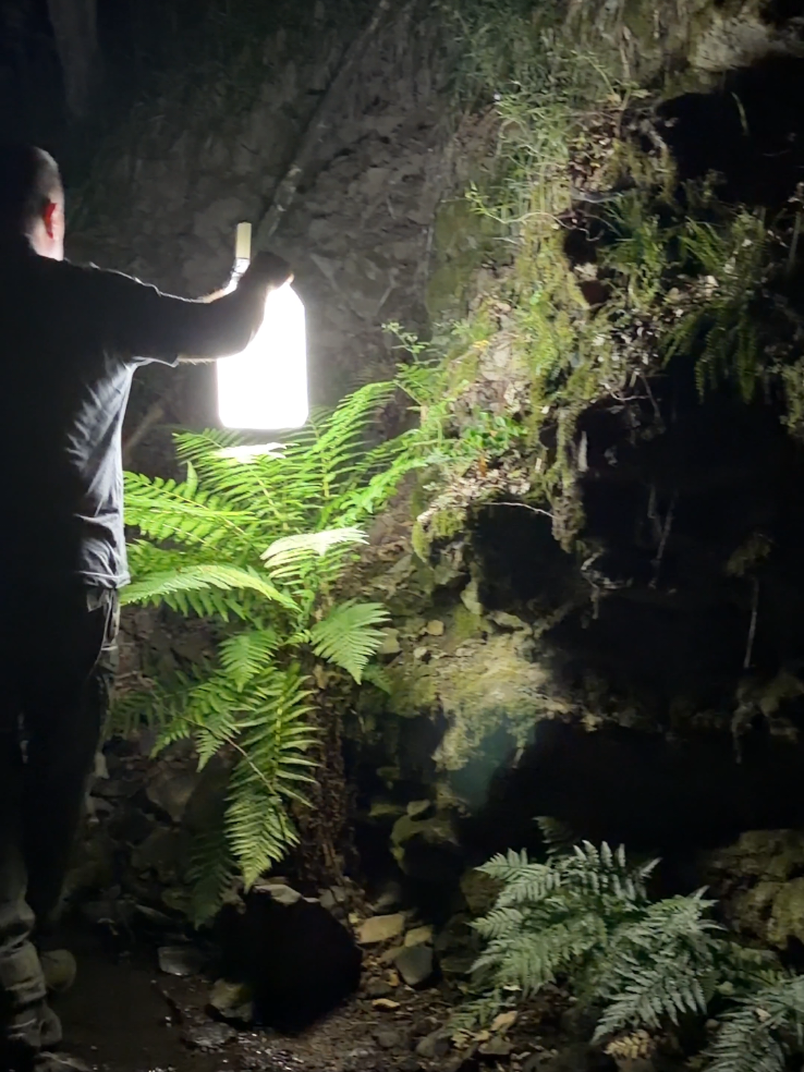TikTok post by @sergio_outdoors for Olight. Caption reads: [...] #camping #outdoors #lifehacks #survival....