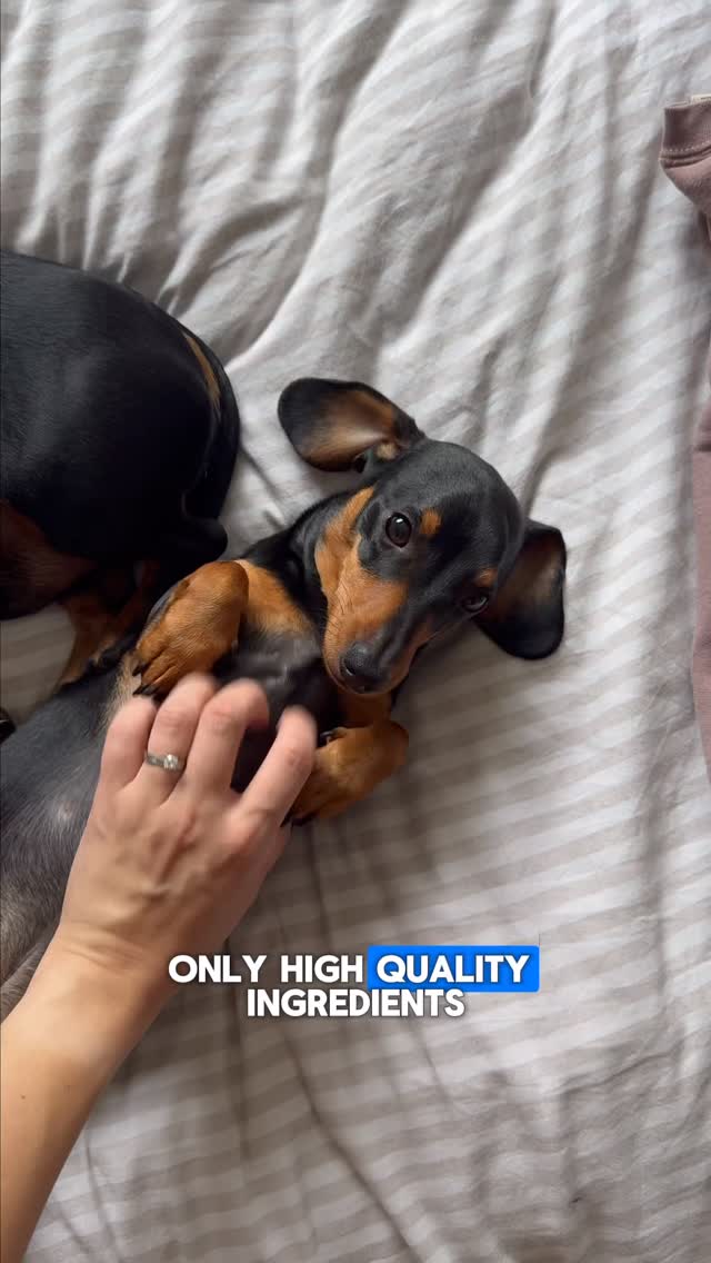 Instagram post by @beth.pabs.frank for Marleybones. Caption reads: [...] in.
Since swapping Pablo & Frank to....