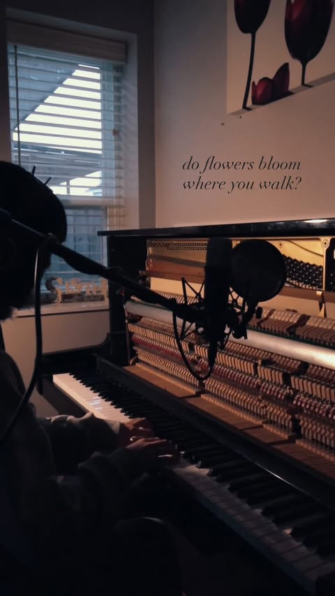 Instagram post by @elysiaxia for RØDE. Caption reads: do flowers bloom where you walk? recorded using....