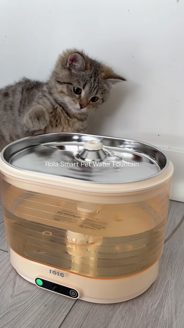 Instagram post by @kinglukameowmeow for Enabot. Caption reads: Luka is loving his new @enabot_official Rola smart....