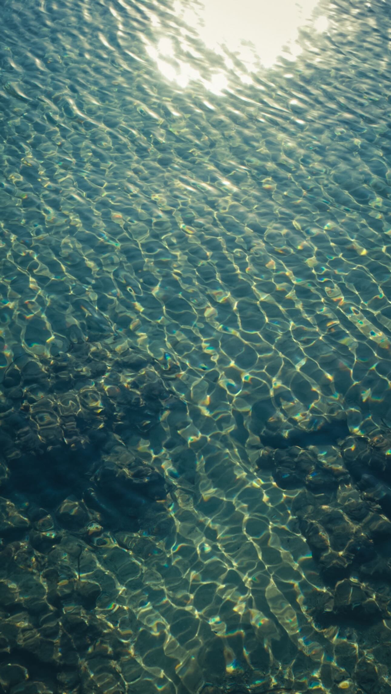 Instagram post by @gianinetto_ for Missguided. Caption reads: @sheinofficial 🤍
@shein_it 🇮🇹

1-....