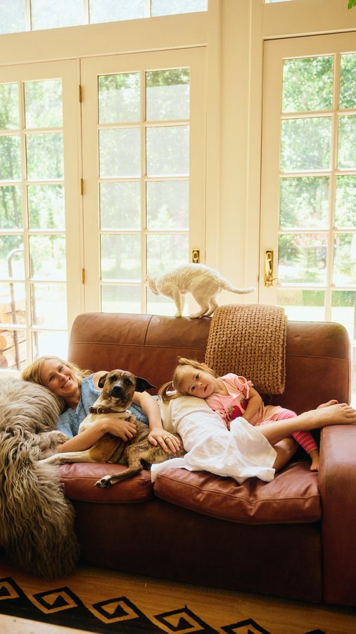 Instagram post by @rumerwillis for Maev. Caption reads: Anyone who knows me knows how much I love animals.....