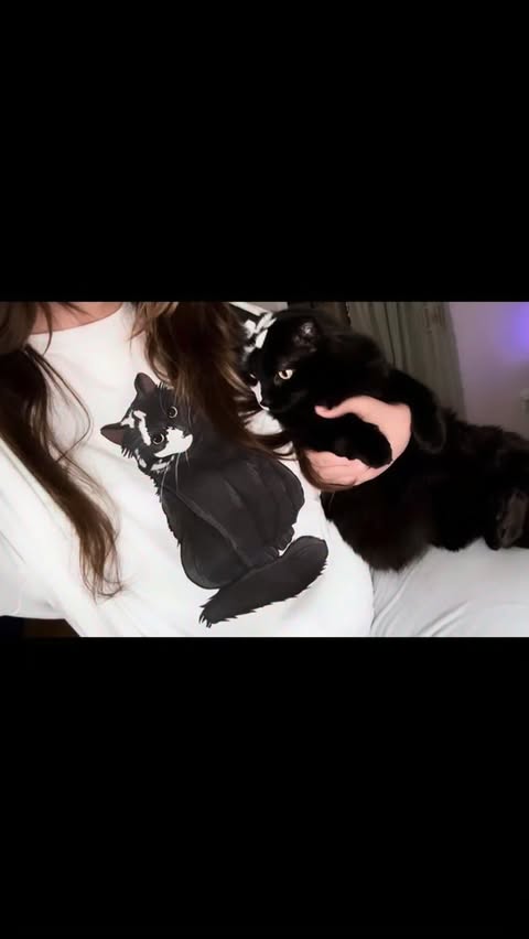 Instagram post by @the_vitiligo_kitty for TeePublic. Caption reads: [...] bio ! 💖💖💖🤩🤩🤩🕺🏼🕺🏼 thank you....