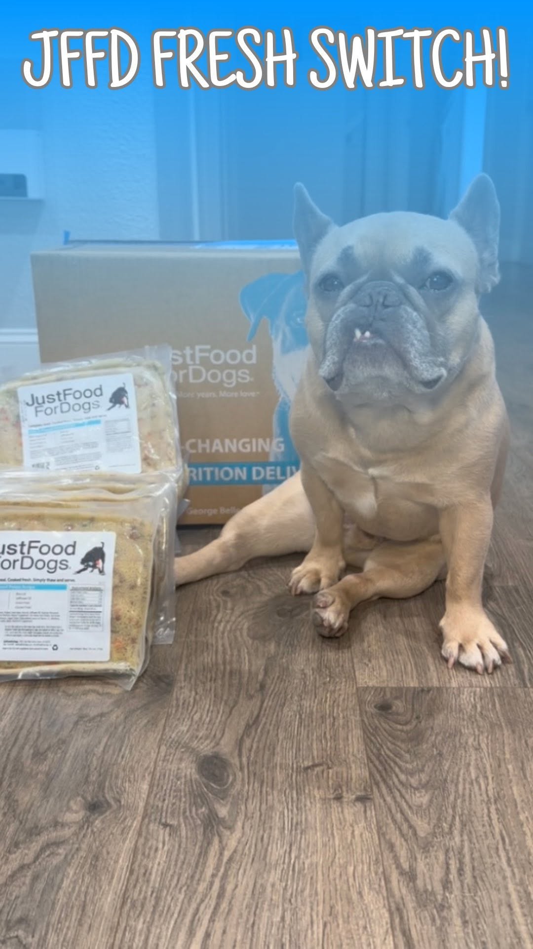 Instagram post by @somefrenchienamedapollo for JustFoodForDogs. Caption reads: Switched them to the #1 vet recommended fresh food....