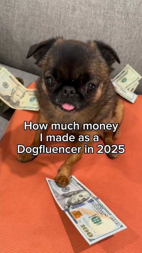 Instagram post by @ednatherunt for Dagne Dover. Caption reads: [...] @veg, @ollie, @marcjacobs, @chewy,....