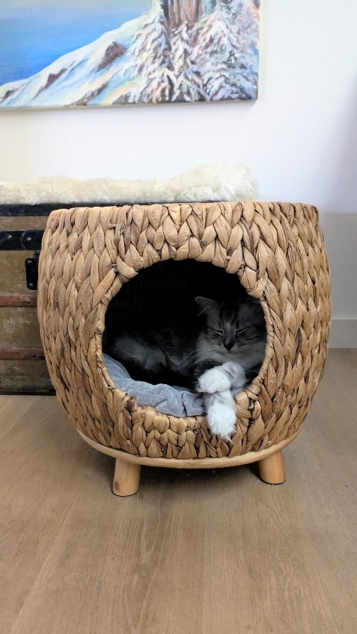 Instagram post by an influencer for PawHut UK. Caption reads: He said it was his cave… so I tested it. 🩷🐈🐾....