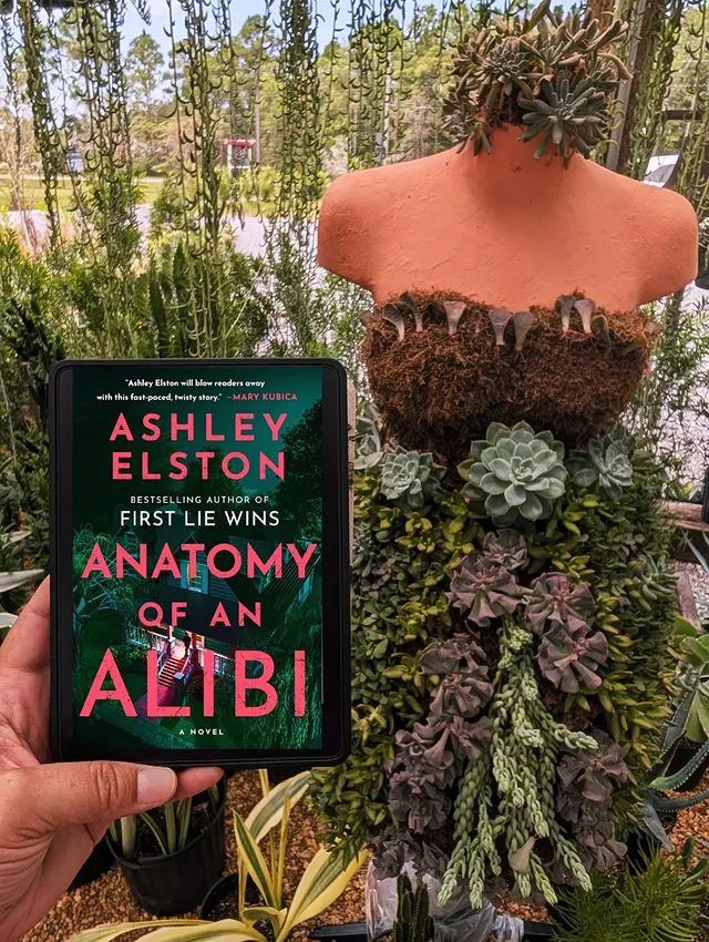 Instagram post by @hollylovesbooks1519 for Viking Books. Caption reads: [...] you, #Partner @pameladormanbooks....