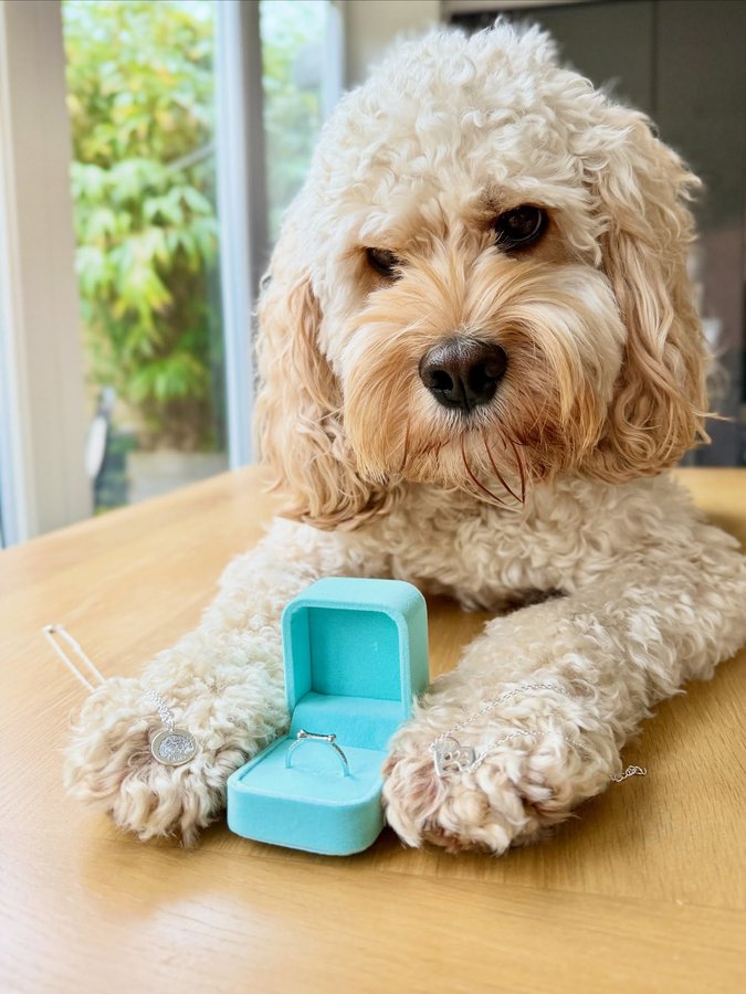 Instagram post by @ally_and_albie for Pupring. Caption reads: [...] beautiful pieces of jewellery from @pupring.....