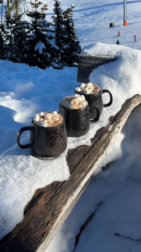 Instagram post by @sophia.berk for Ardene. Caption reads: winter girls trip outfit ideas ❄️🥂🤍 @ardene ad....