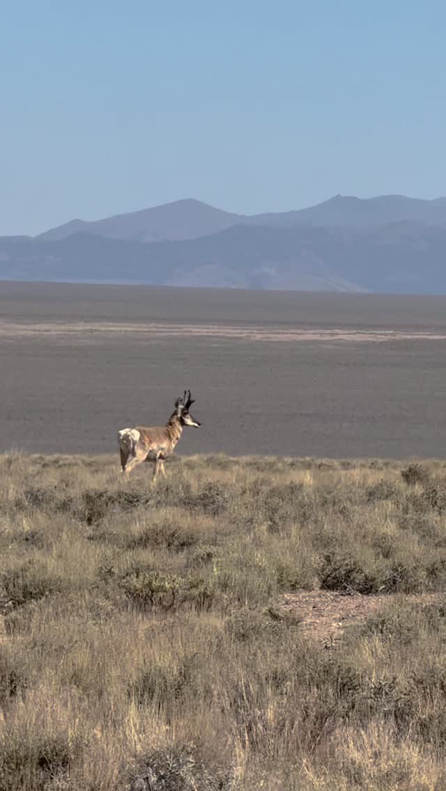 Instagram post by @duranosaur for Travel Nevada. Caption reads: @travelnevada and explore the rustic treasures of....