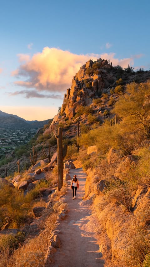 Instagram post by @reneeroaming for Capital One. Caption reads: The perfect sunny escape! #CapitalOnePartner It’s....