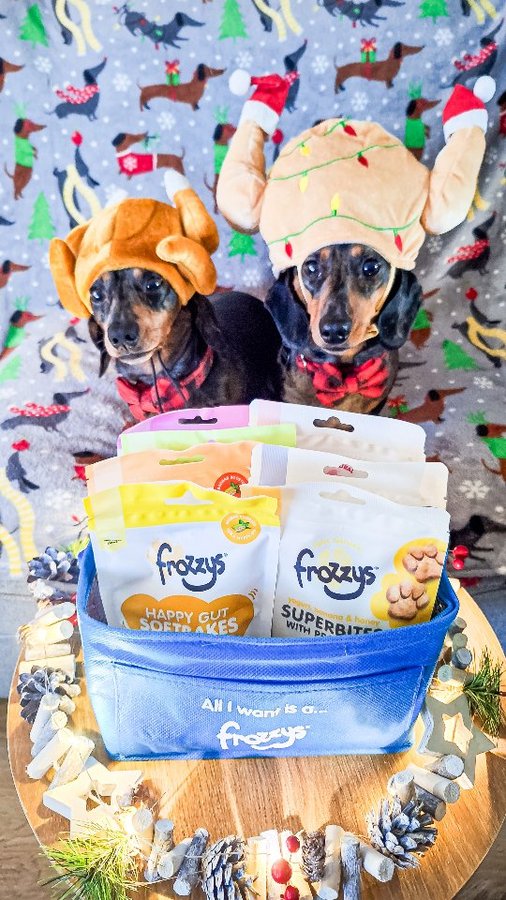 Instagram post by @sausage_dogs_smudge_sonic for Frozzys. Caption reads: @frozzys_  the drool 🤤 worthy treats that are a....