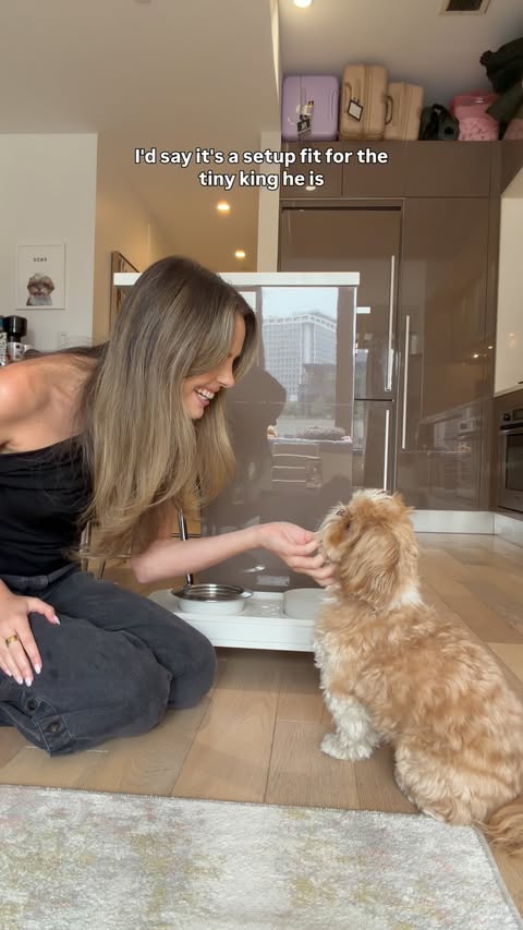Instagram post by @enzoistheshiht for OXO. Caption reads: Introducing… Enzo’s table! 🦴🤎 His new @OXO....