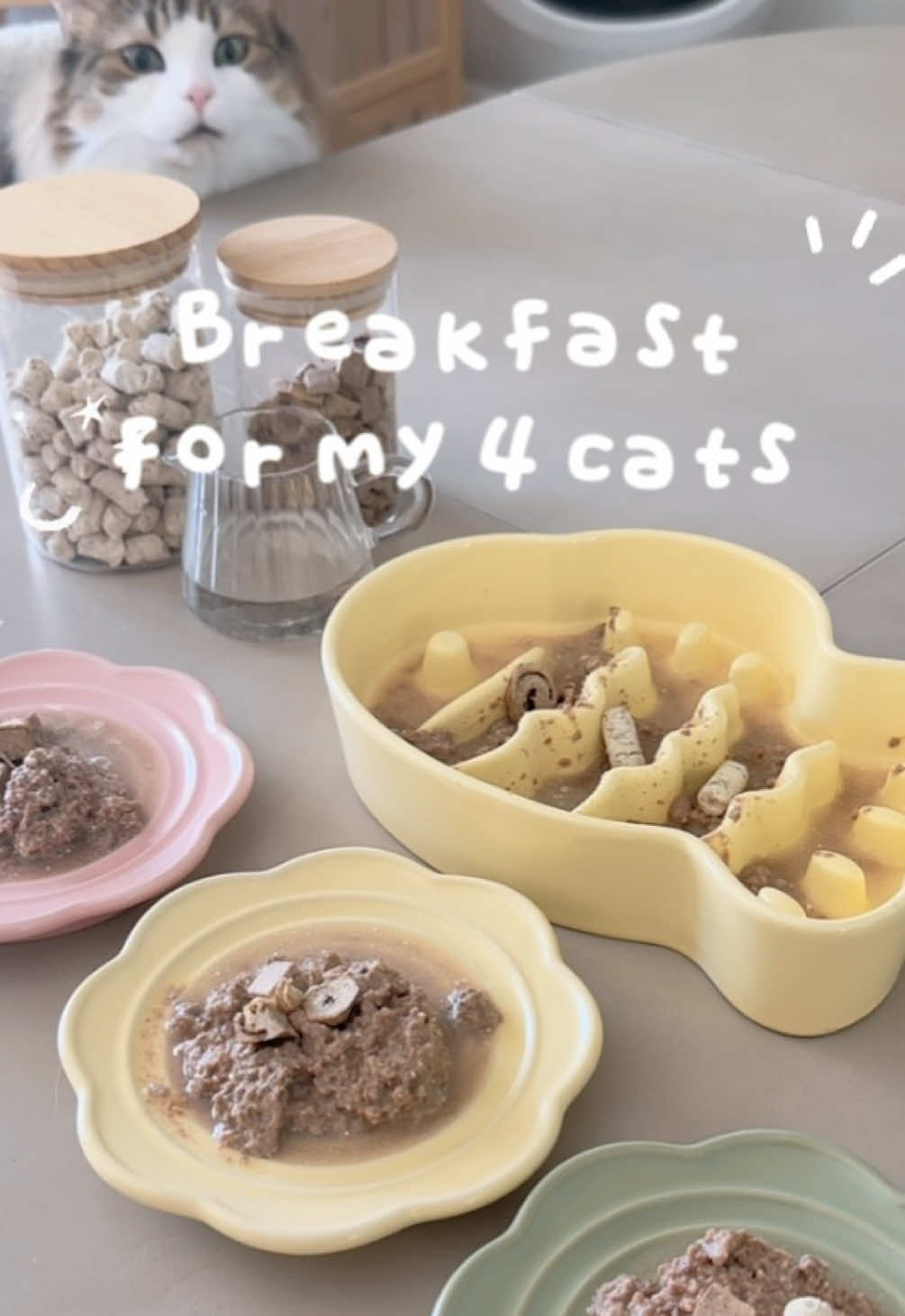 TikTok post by @hangiefurbabies for Pupford. Caption reads: [...] @K9 Feline Natural -Chicken Hearts @Pupford....
