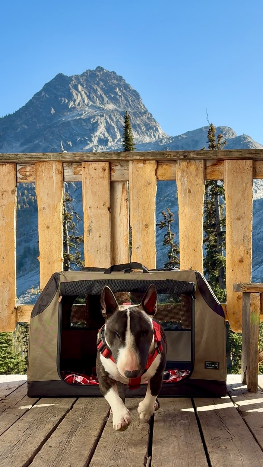 Instagram post by @rockymountainpotato_mbt for Petsfit. Caption reads: Living for these backcountry hut weekends with....