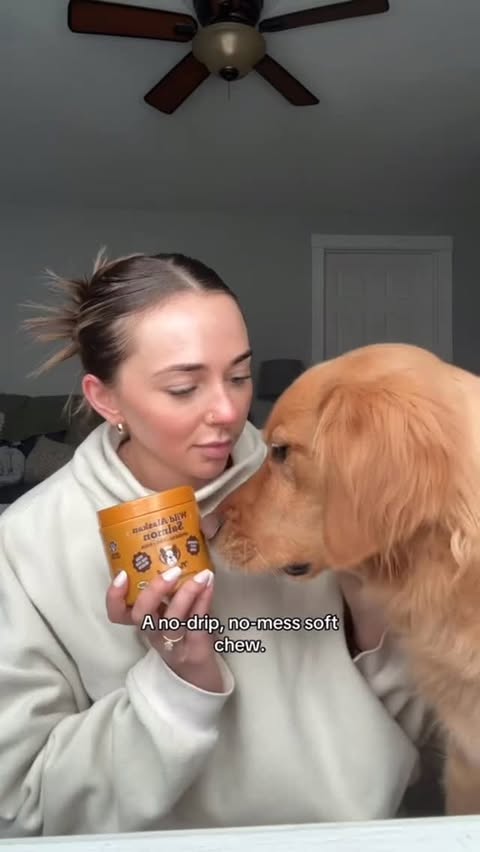 Instagram post by @cashthegoldennnn for Natural Dog Company. Caption reads: [...] stench of normal liquid fish oil.....