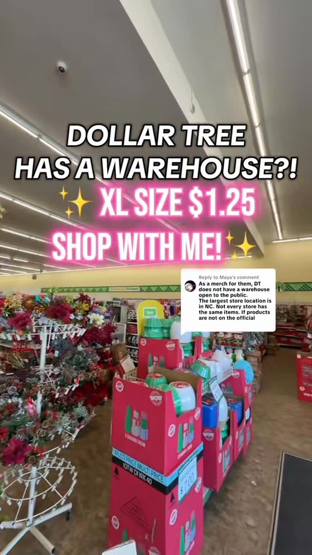 Instagram post by @dollartreedollie for Dollar Tree. Caption reads: DOLLAR TREE WAREHOUSE?? 😱
Have you ever been to....