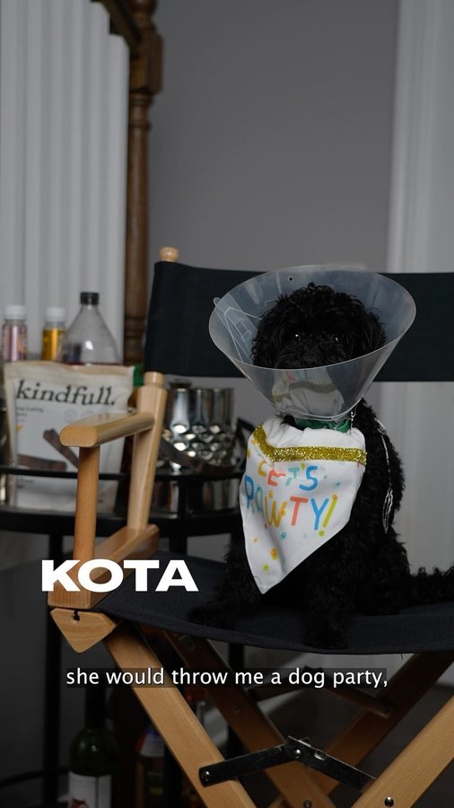 Instagram post by @lynaevanee for Target. Caption reads: [...] I should get Kota neutered… #TargetPartner....