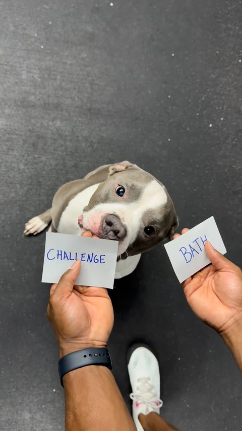 Instagram post by @jarellcarter for Earth Rated. Caption reads: [...] in my bio and go shop all Dooties....