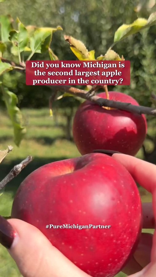 Instagram post by @livvyloveasmr for Pure Michigan. Caption reads: Michigan is the best place to savor fresh fall....