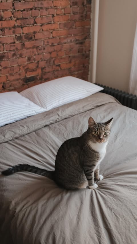 Instagram post by @leeyjohn_ for Brooklinen. Caption reads: A bedroom refresh with @brooklinen - truly love....