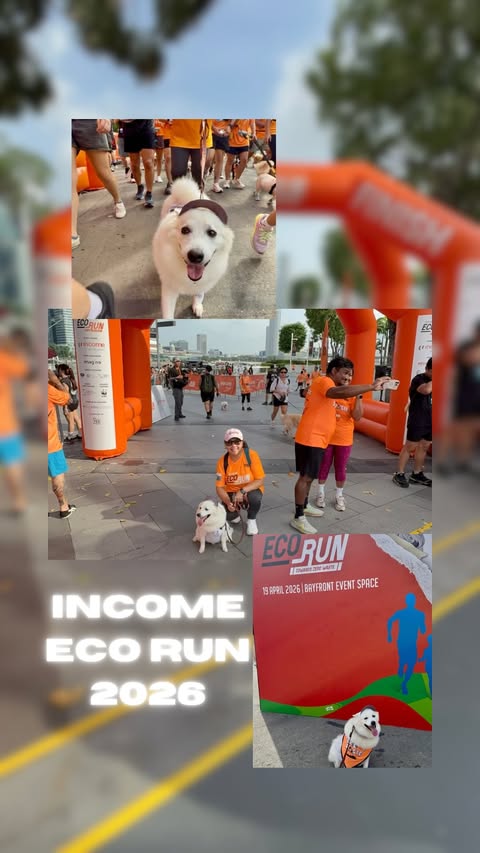 Instagram post by @casperjspitz for Pawjourr. Caption reads: Casper just ran 1.2km and honestly? He was tired....
