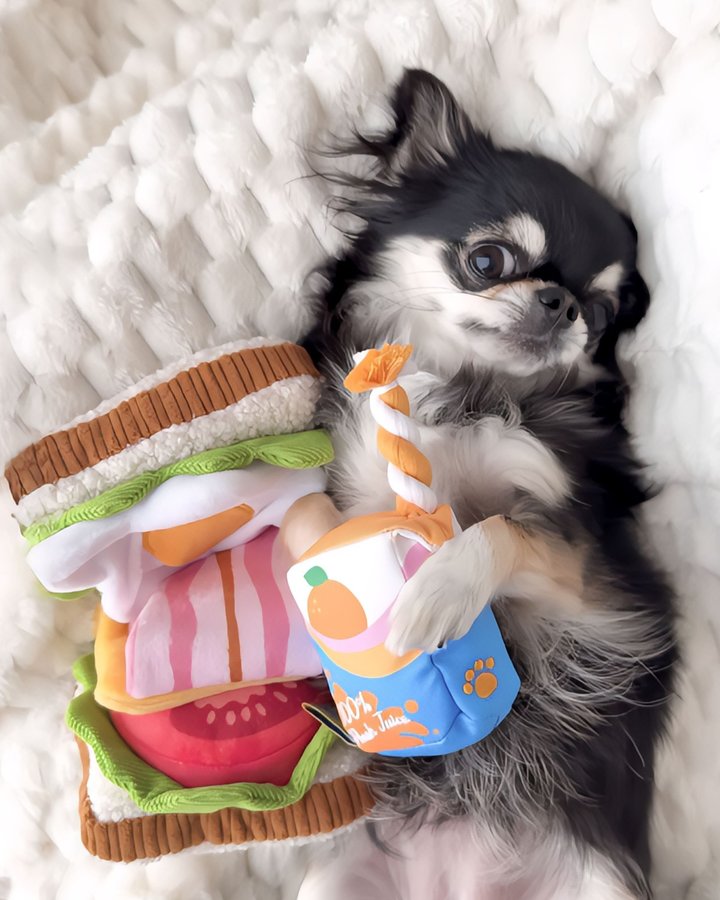 Instagram post by @popogramu for Doggy Box. Caption reads: .