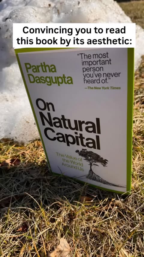 Instagram post by an influencer for Harper Perennial. Caption reads: Thanks, Partner @marinerbooks #EpicTastemakers....